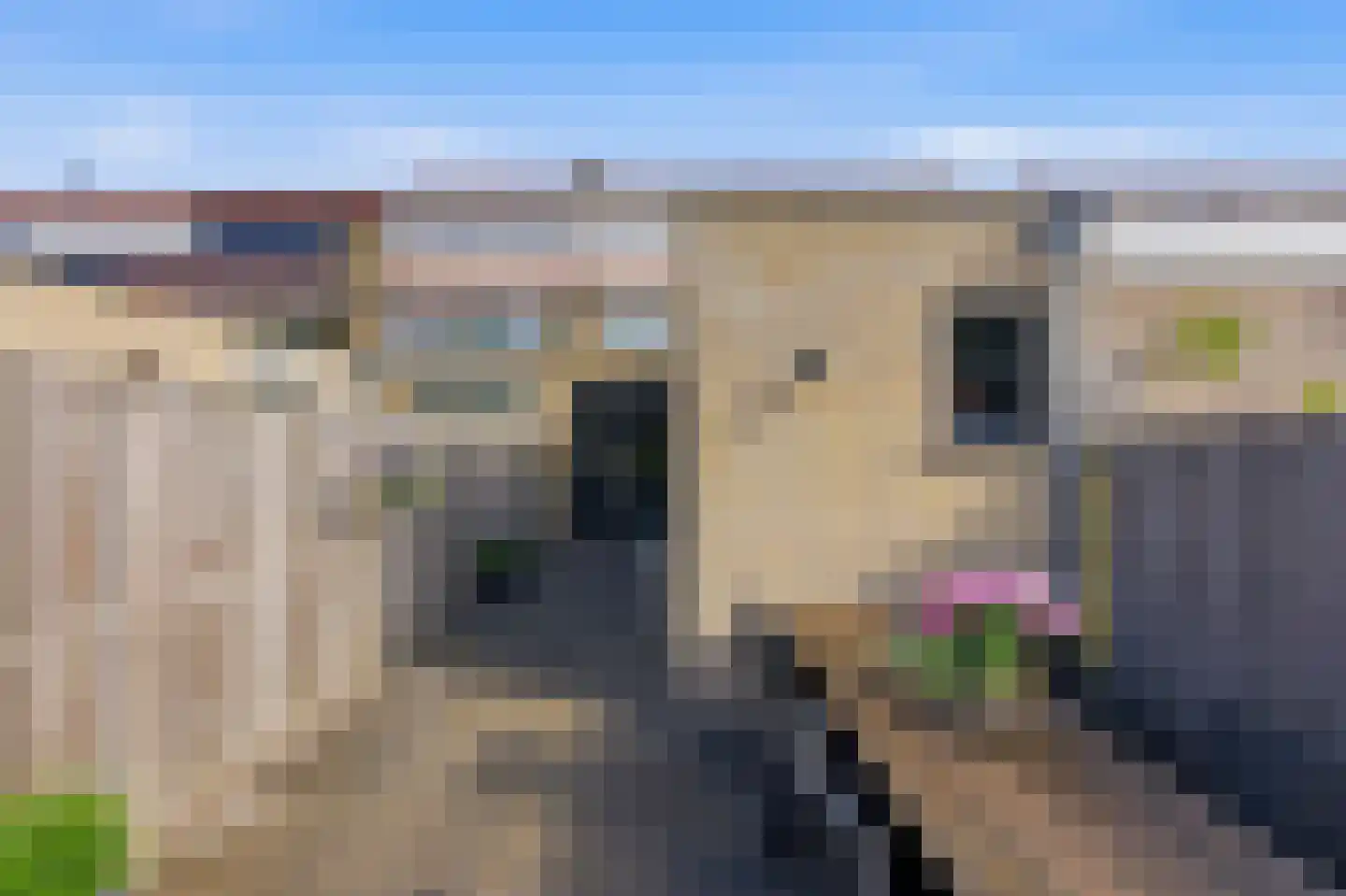 Reederijstraat 21 Alblasserdam thumbnail 37