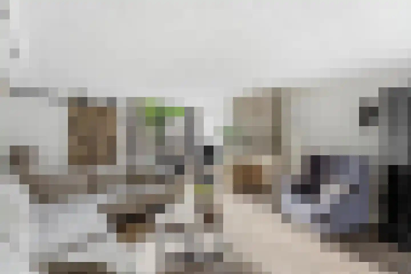 Reederijstraat 21 Alblasserdam thumbnail 4