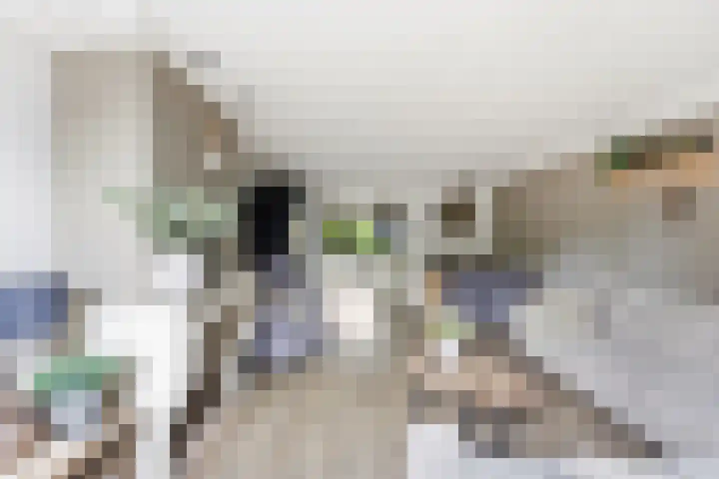 Reederijstraat 21 Alblasserdam thumbnail 6