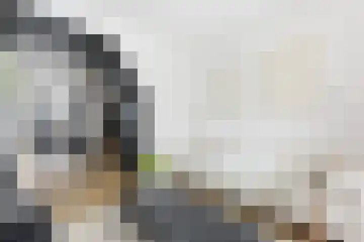 Reederijstraat 22 Alblasserdam thumbnail 5