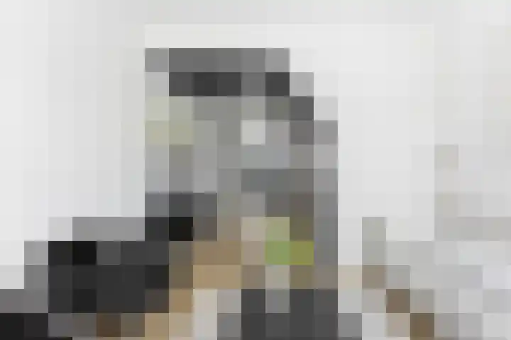 Reederijstraat 22 Alblasserdam thumbnail 7