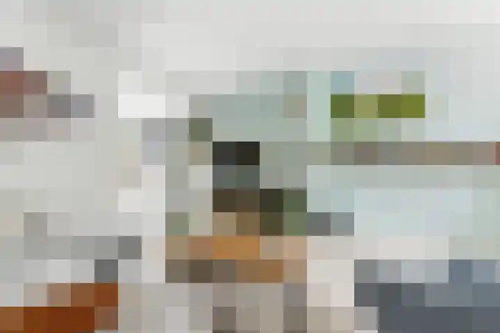 Reederijstraat 25 Alblasserdam thumbnail 12