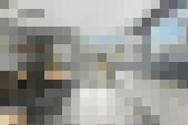 Reederijstraat 25 Alblasserdam thumbnail 14