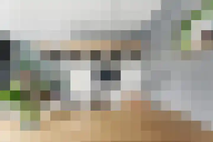 Reederijstraat 25 Alblasserdam thumbnail 20