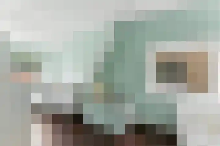 Reederijstraat 25 Alblasserdam thumbnail 26