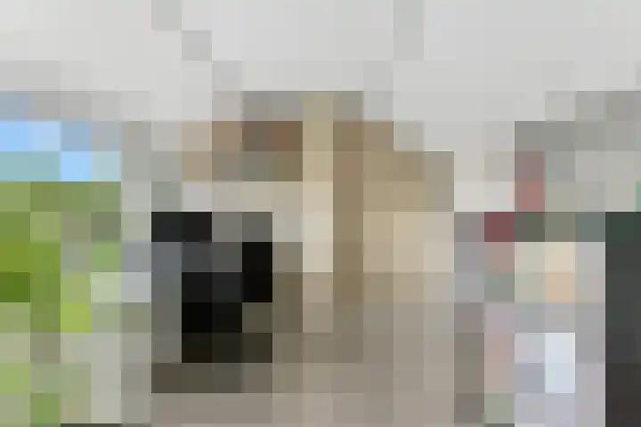 Reederijstraat 25 Alblasserdam thumbnail 33