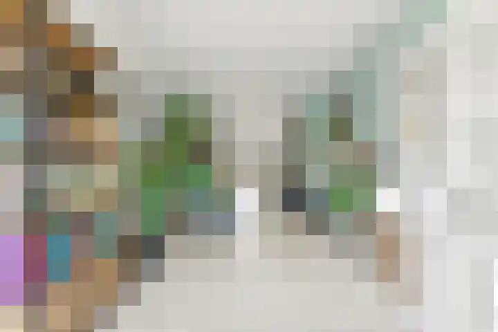 Reederijstraat 25 Alblasserdam thumbnail 4