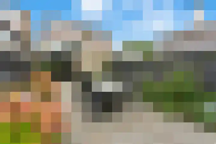 Reederijstraat 25 Alblasserdam thumbnail 42