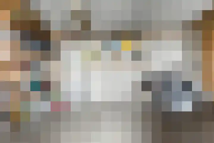 Reederijstraat 25 Alblasserdam thumbnail 44