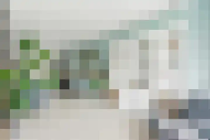 Reederijstraat 25 Alblasserdam thumbnail 5
