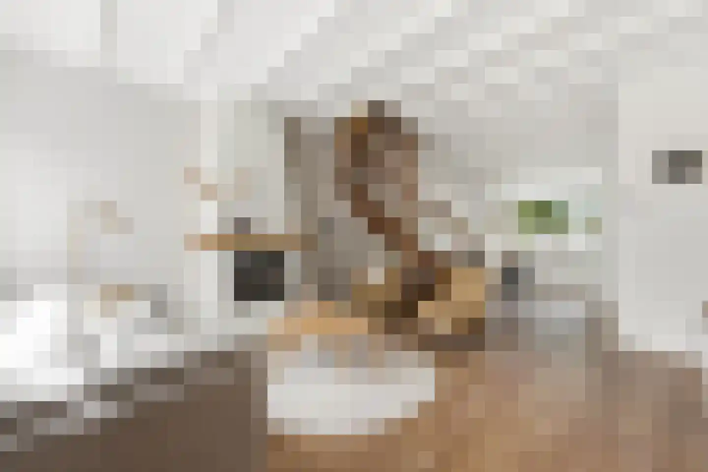 Reederijstraat 5 Alblasserdam thumbnail 10