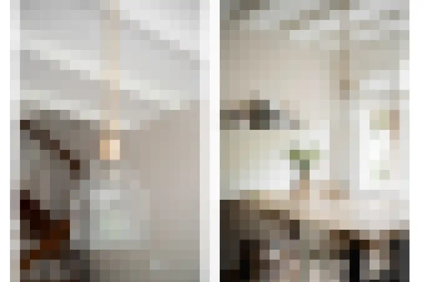 Reederijstraat 5 Alblasserdam thumbnail 12