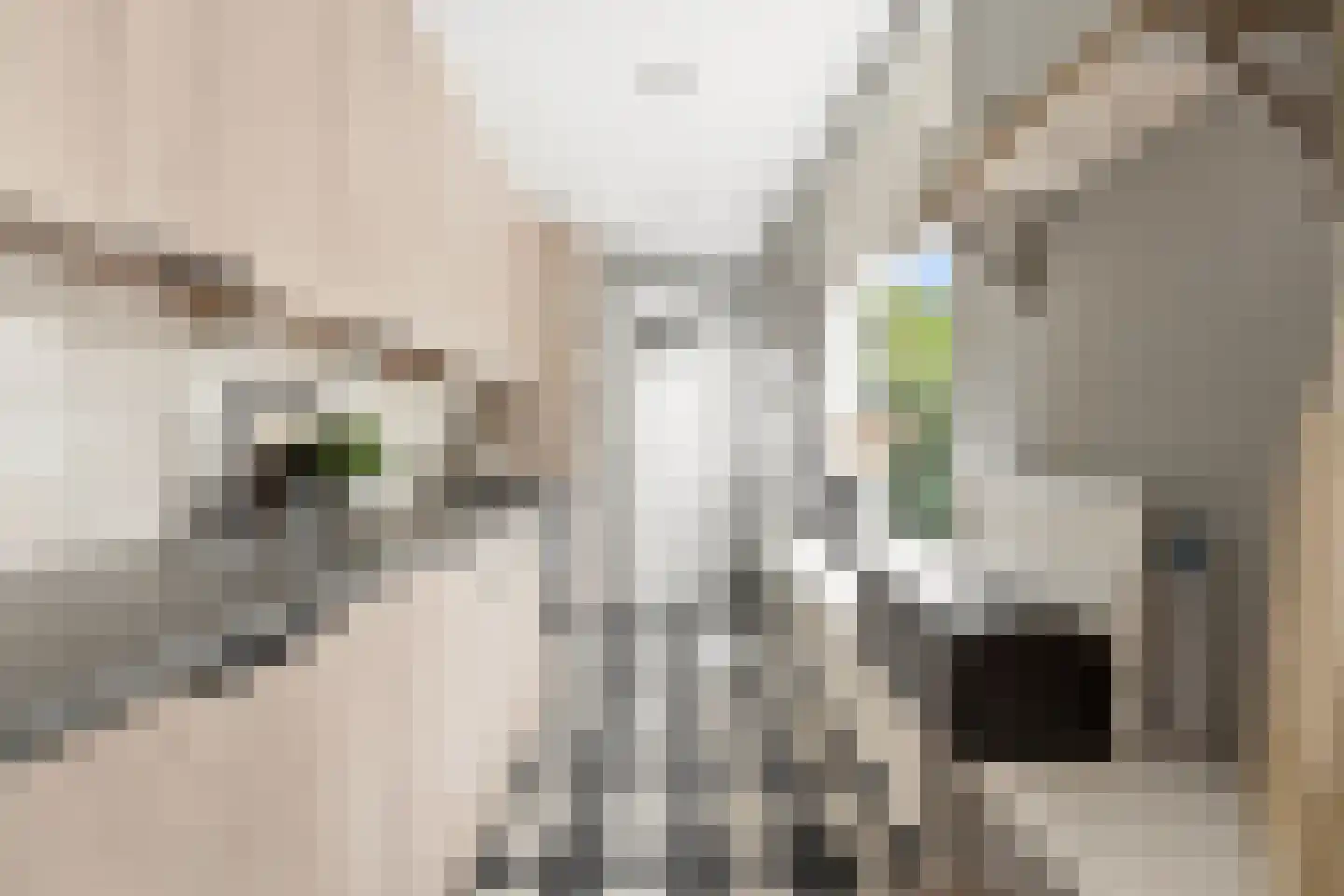 Reederijstraat 5 Alblasserdam thumbnail 13