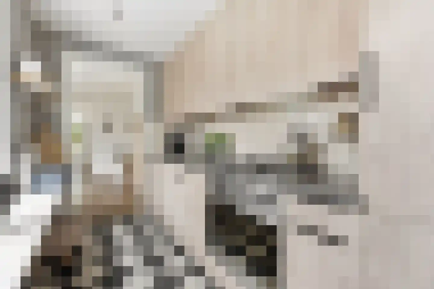 Reederijstraat 5 Alblasserdam thumbnail 15