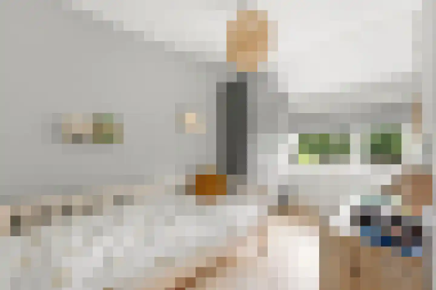 Reederijstraat 5 Alblasserdam thumbnail 24