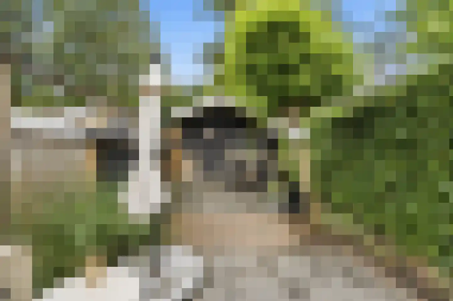 Reederijstraat 5 Alblasserdam thumbnail 35