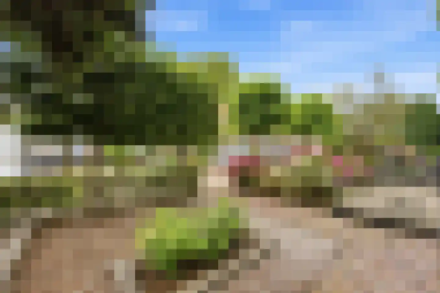 Reederijstraat 5 Alblasserdam thumbnail 40