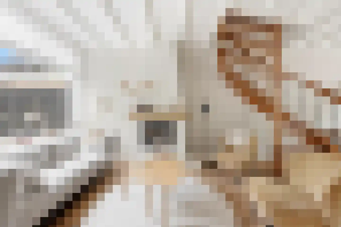 Reederijstraat 5 Alblasserdam thumbnail 5