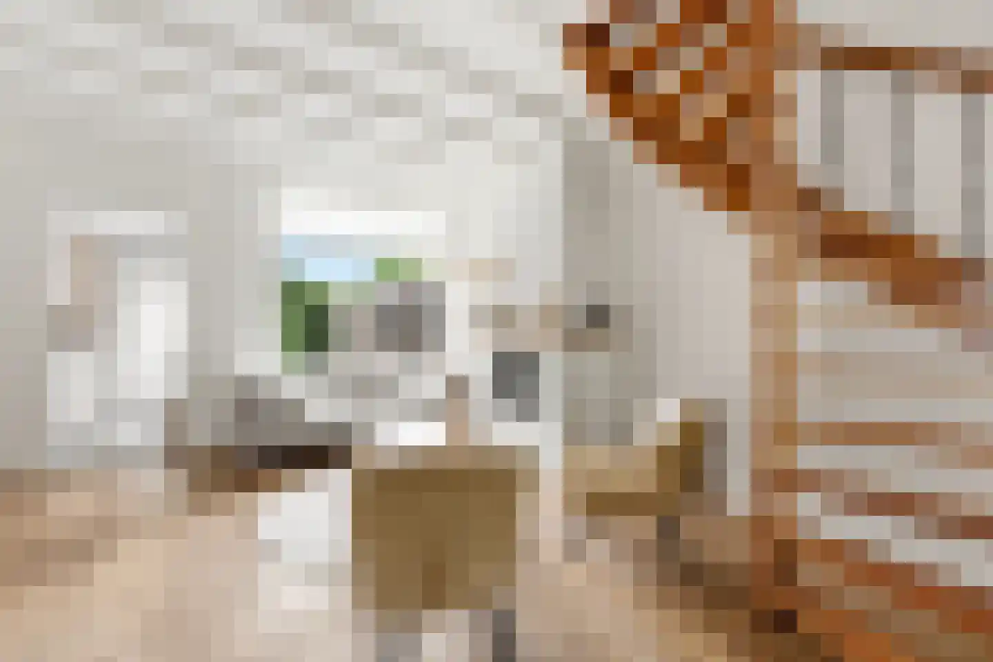 Reederijstraat 5 Alblasserdam thumbnail 6
