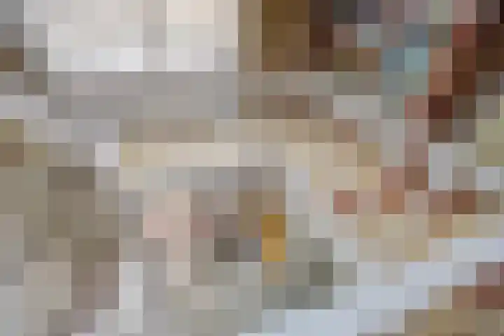 Reedonk 29 Etten-Leur thumbnail 20