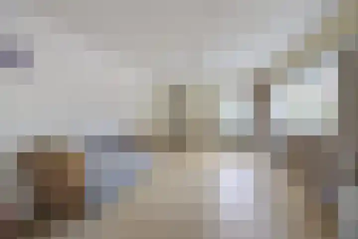 Reedonk 29 Etten-Leur thumbnail 27