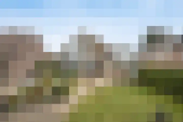 Reedonk 29 Etten-Leur thumbnail 4