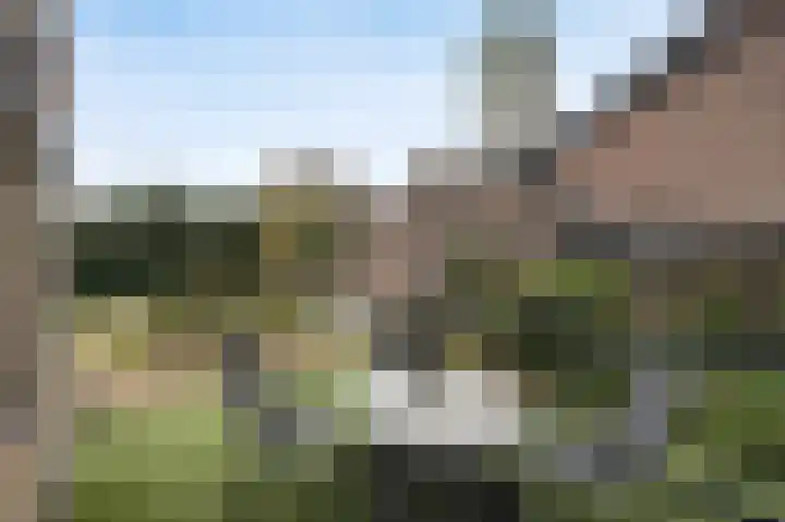 Reedonk 29 Etten-Leur thumbnail 40