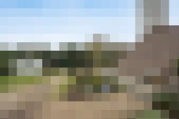 Reedonk 29 Etten-Leur thumbnail 42