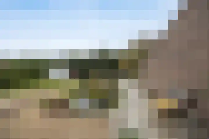 Reedonk 29 Etten-Leur thumbnail 43