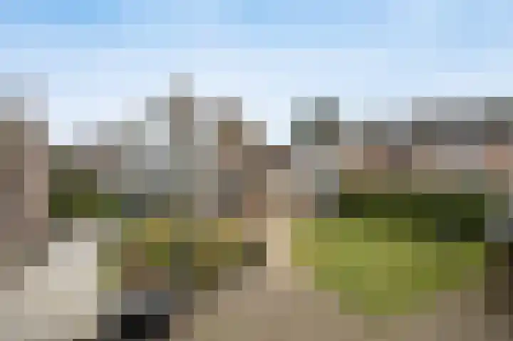 Reedonk 29 Etten-Leur thumbnail 46