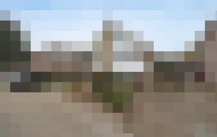 Reedonk 29 Etten-Leur thumbnail 47