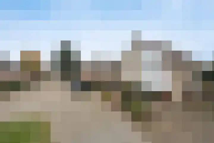 Reedonk 29 Etten-Leur thumbnail 48