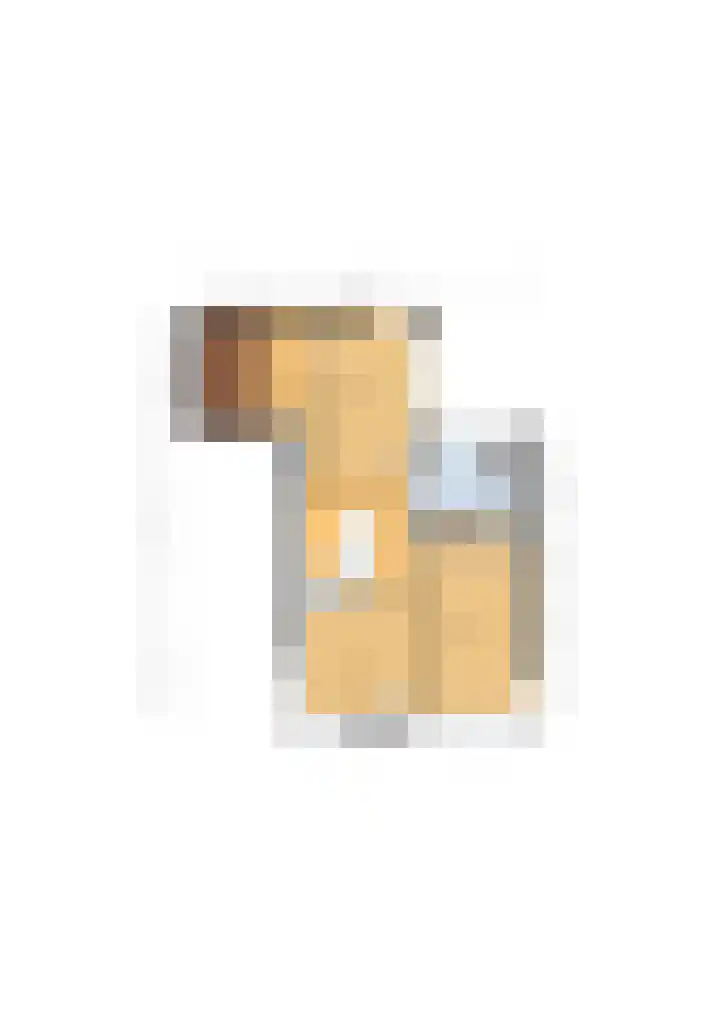 Reedonk 29 Etten-Leur thumbnail 51