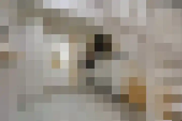 Reedonk 29 Etten-Leur thumbnail 8