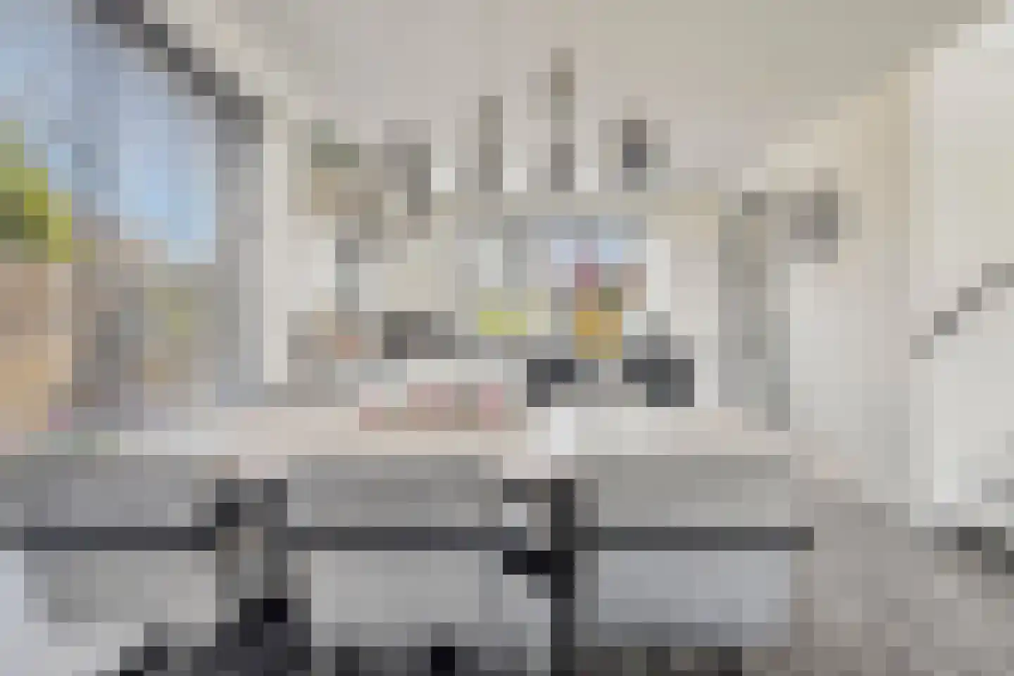 Reedulf 23 Kortgene thumbnail 10