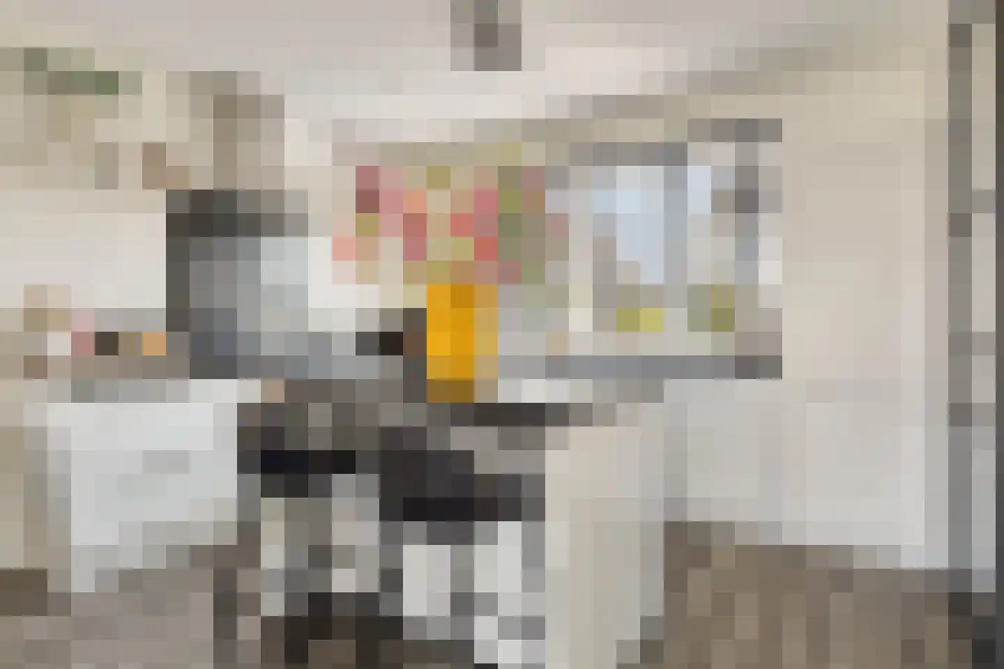 Reedulf 23 Kortgene thumbnail 11