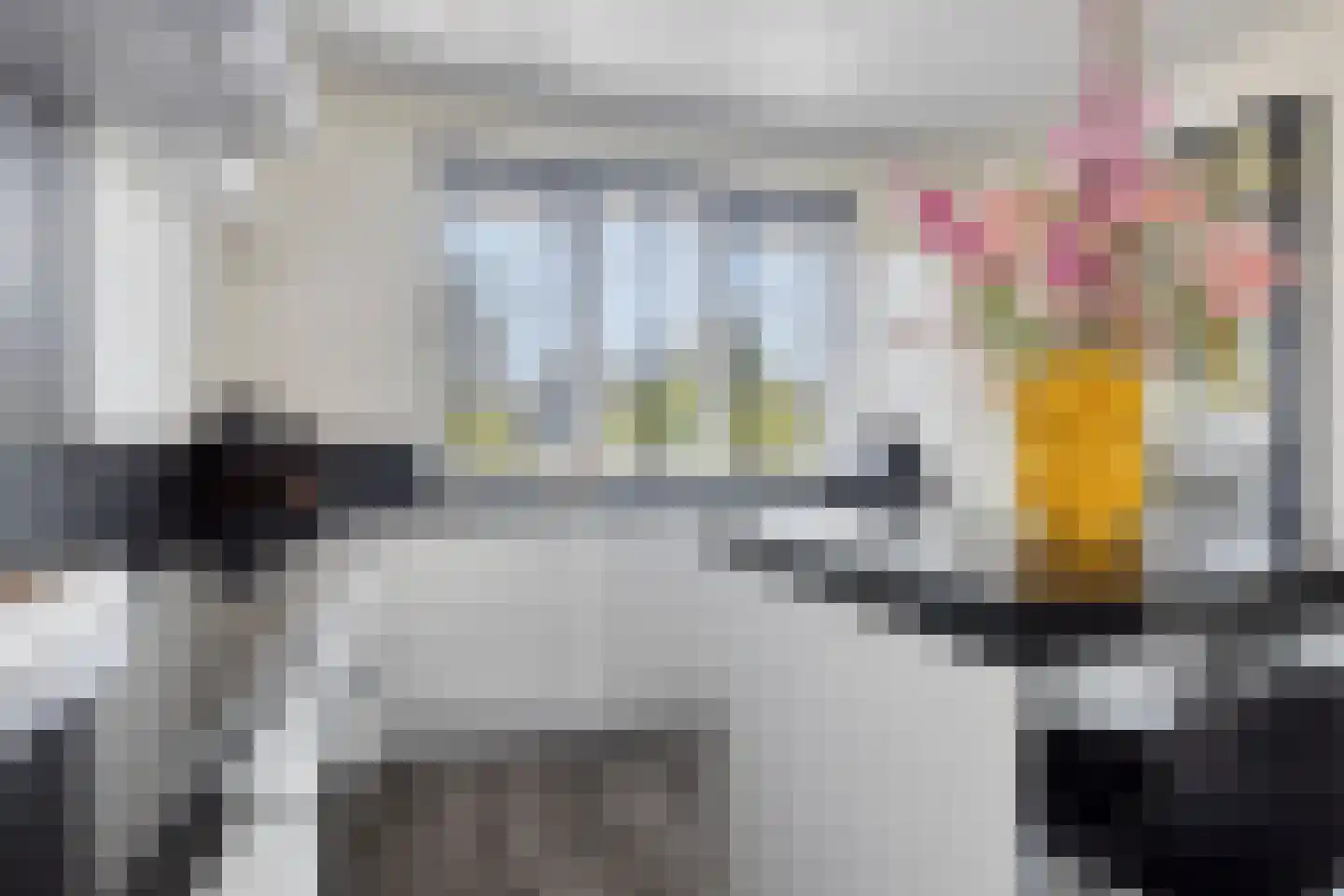 Reedulf 23 Kortgene thumbnail 14