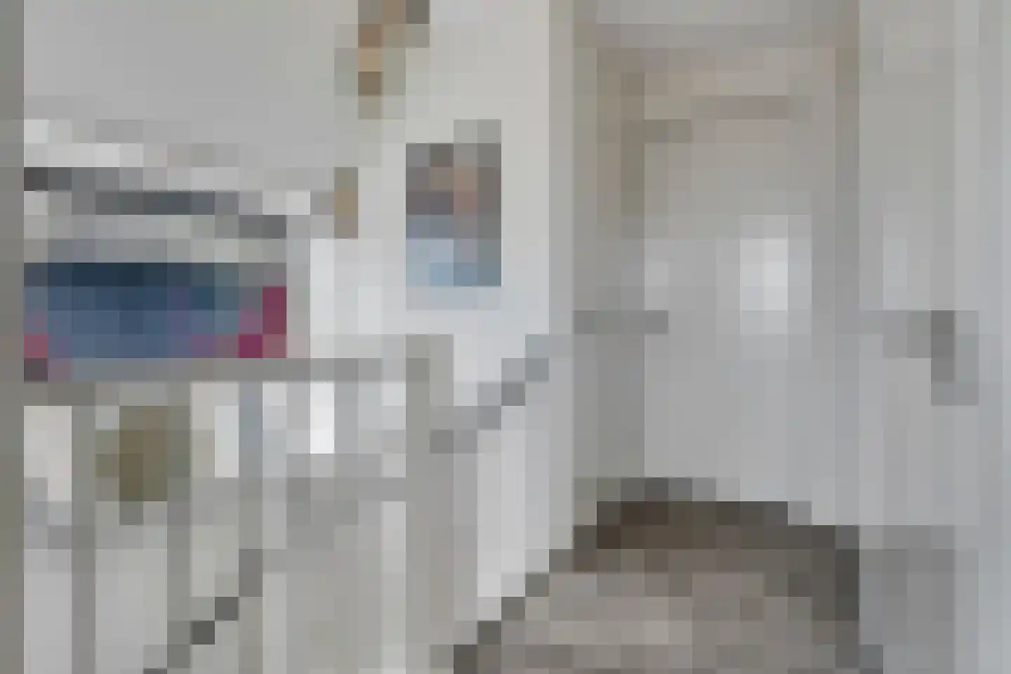 Reedulf 23 Kortgene thumbnail 17