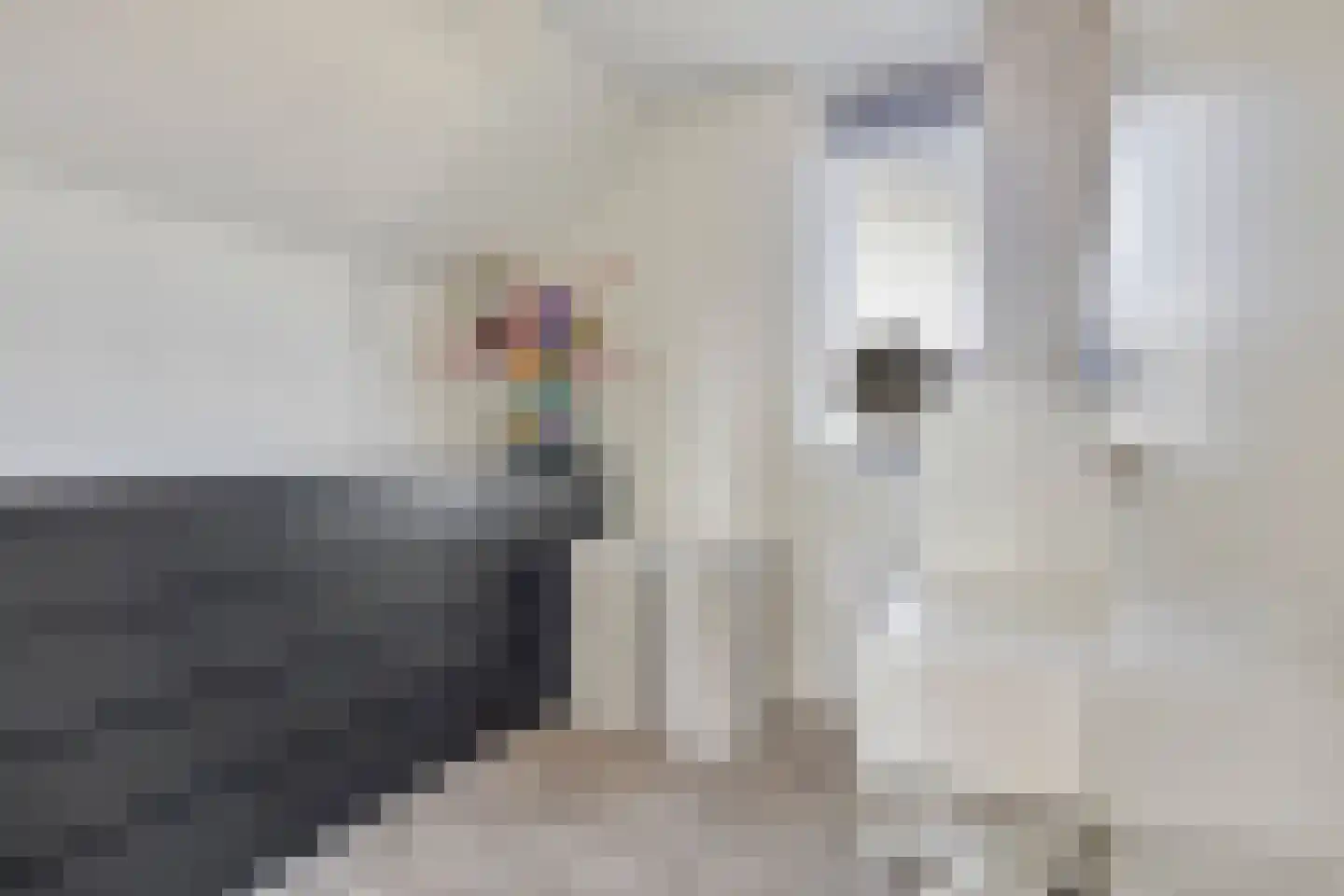 Reedulf 23 Kortgene thumbnail 24