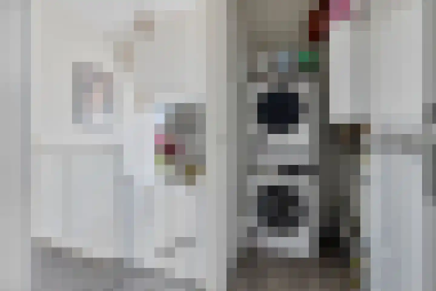 Reedulf 23 Kortgene thumbnail 25