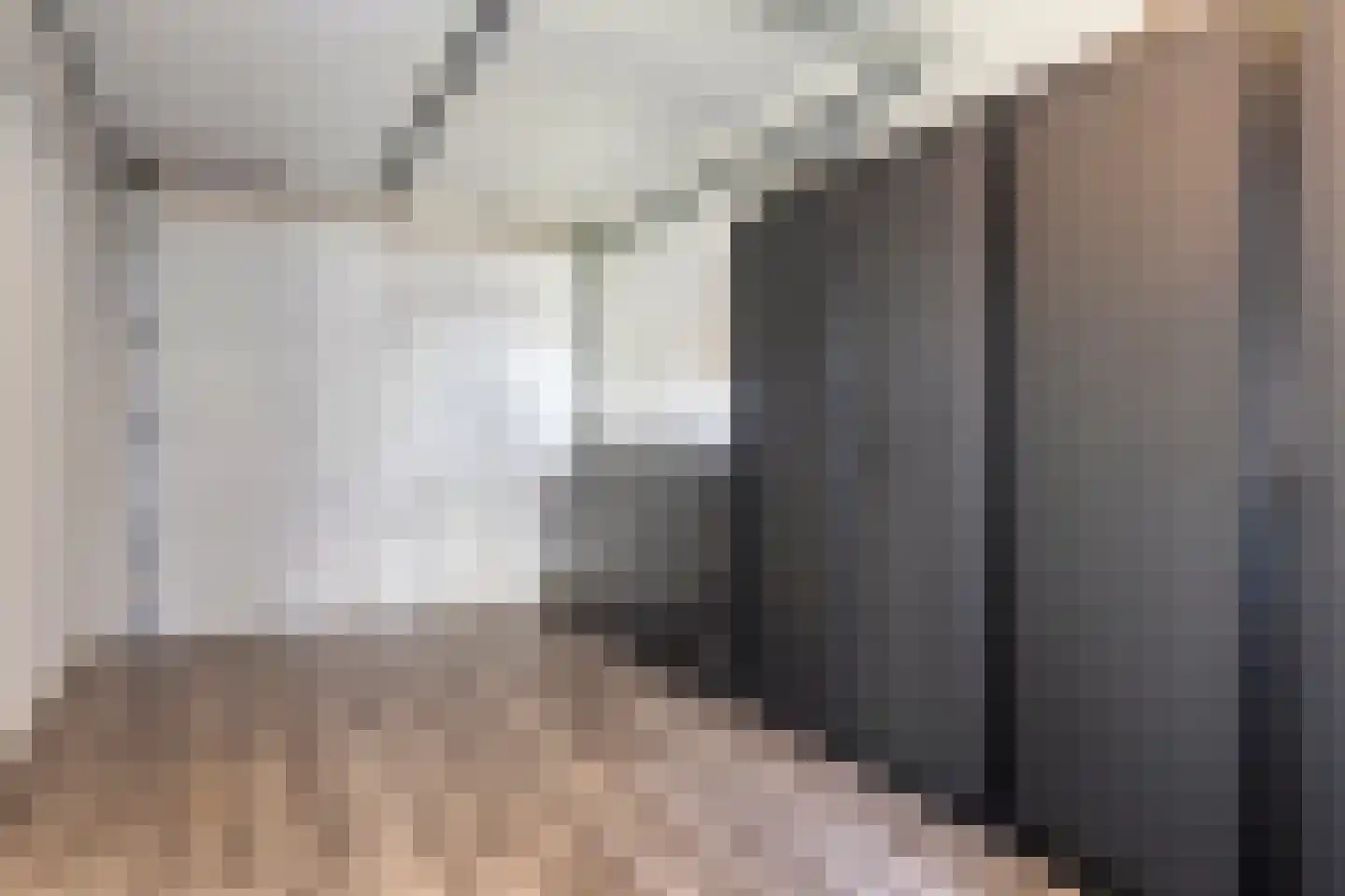 Reedulf 23 Kortgene thumbnail 26