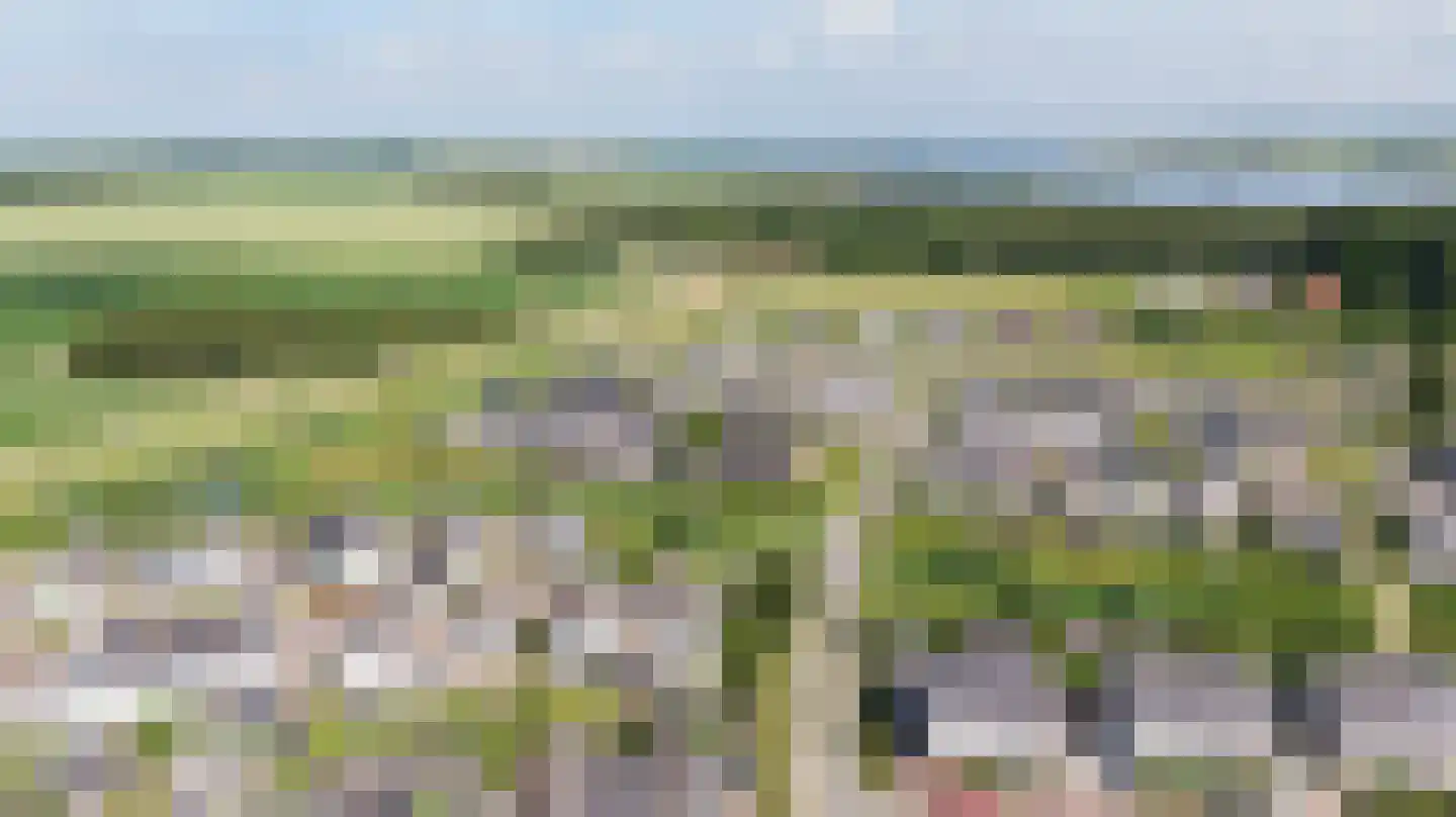 Reedulf 23 Kortgene thumbnail 40