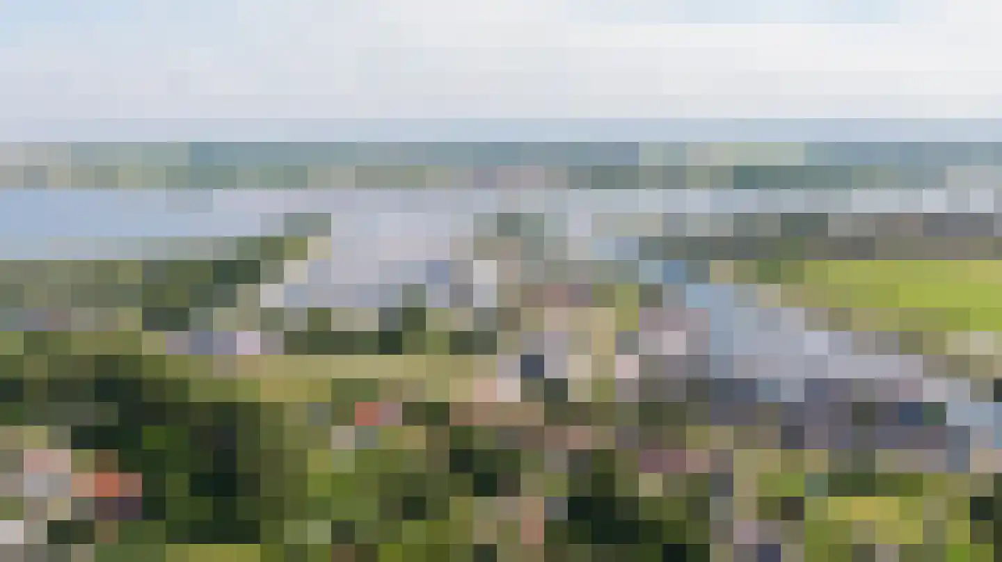 Reedulf 23 Kortgene thumbnail 41