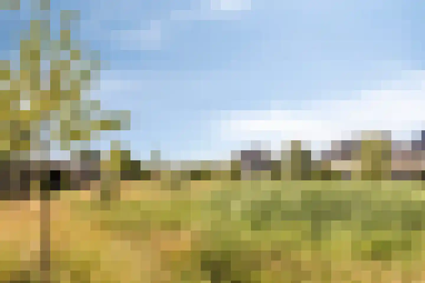 Reedulf 23 Kortgene thumbnail 42