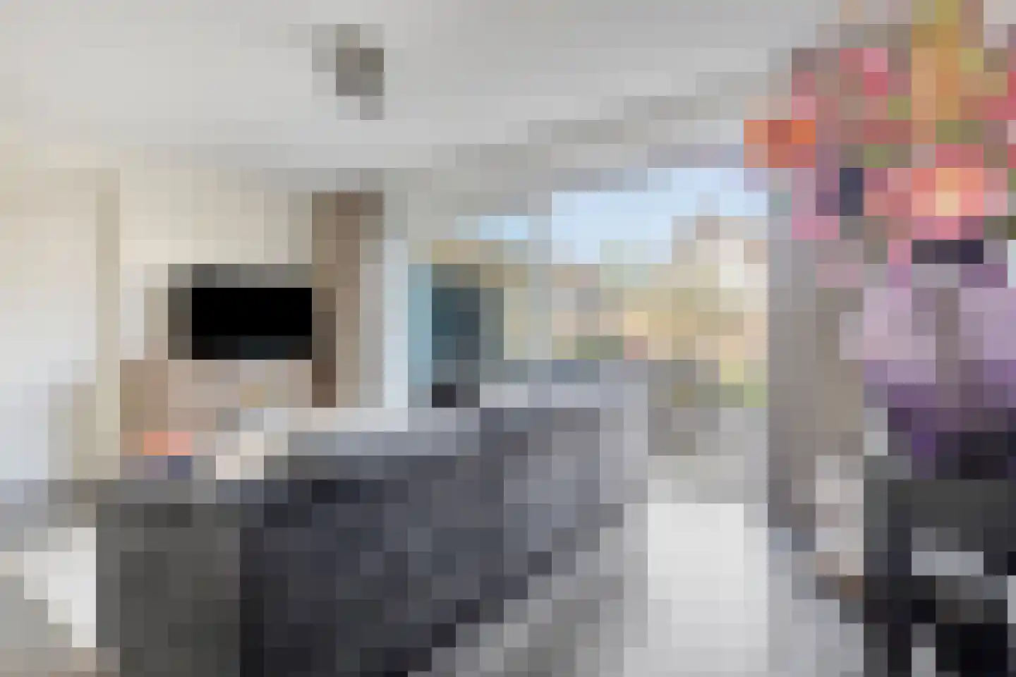 Reedulf 23 Kortgene thumbnail 6