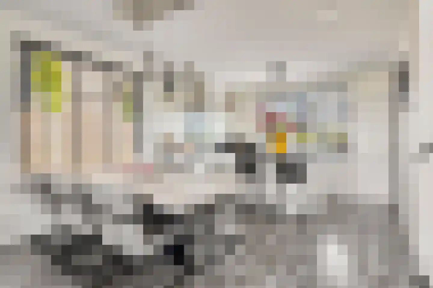 Reedulf 23 Kortgene thumbnail 9
