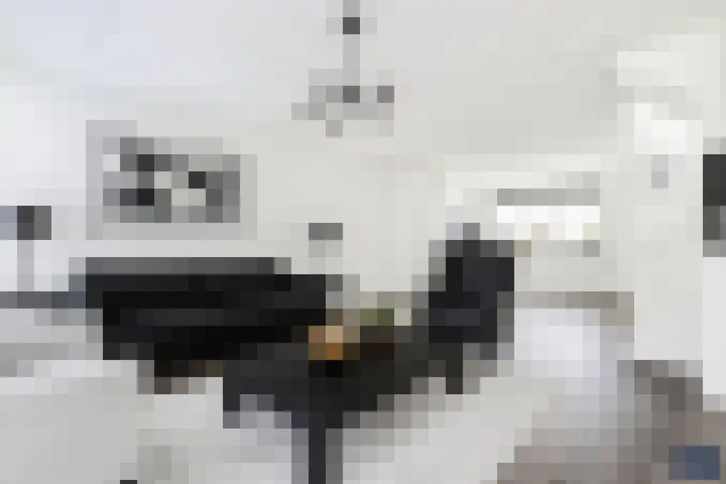 Reedulf 9 Kortgene thumbnail 10