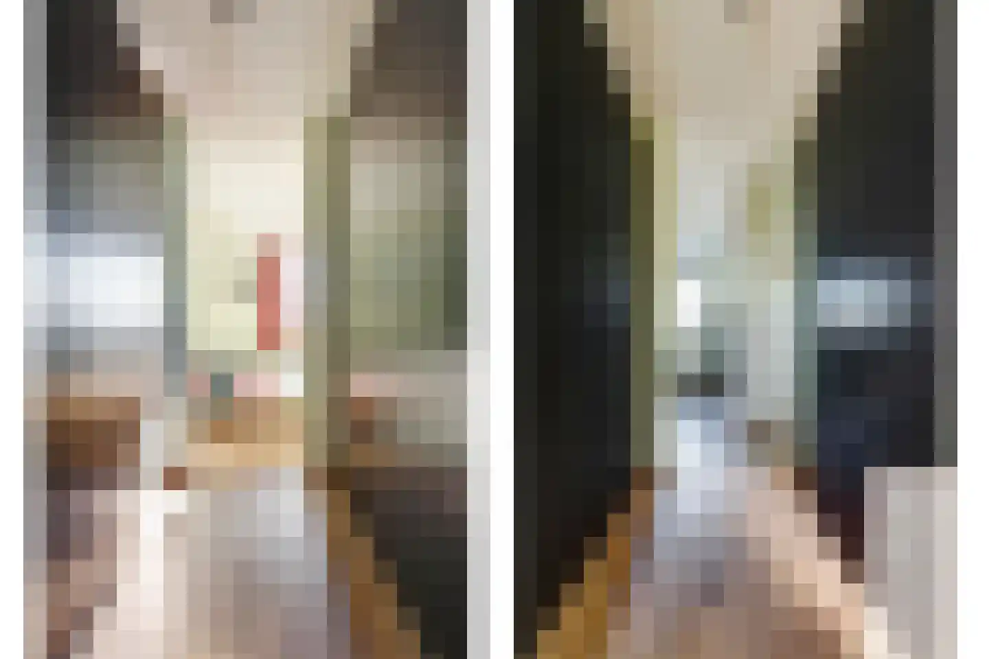Reedulf 9 Kortgene thumbnail 18