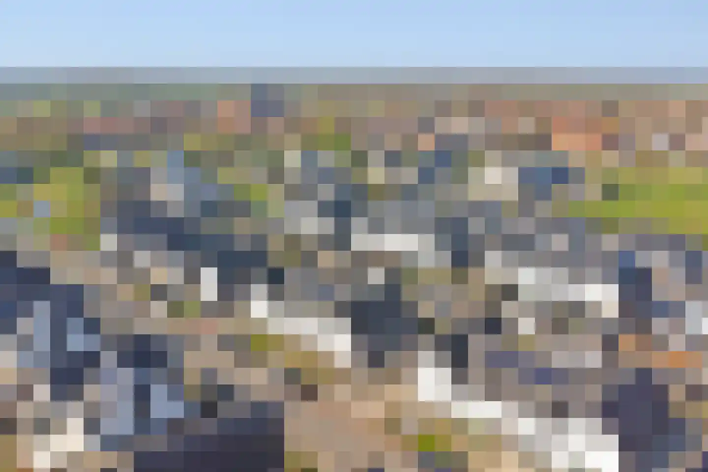 Reedulf 9 Kortgene thumbnail 27