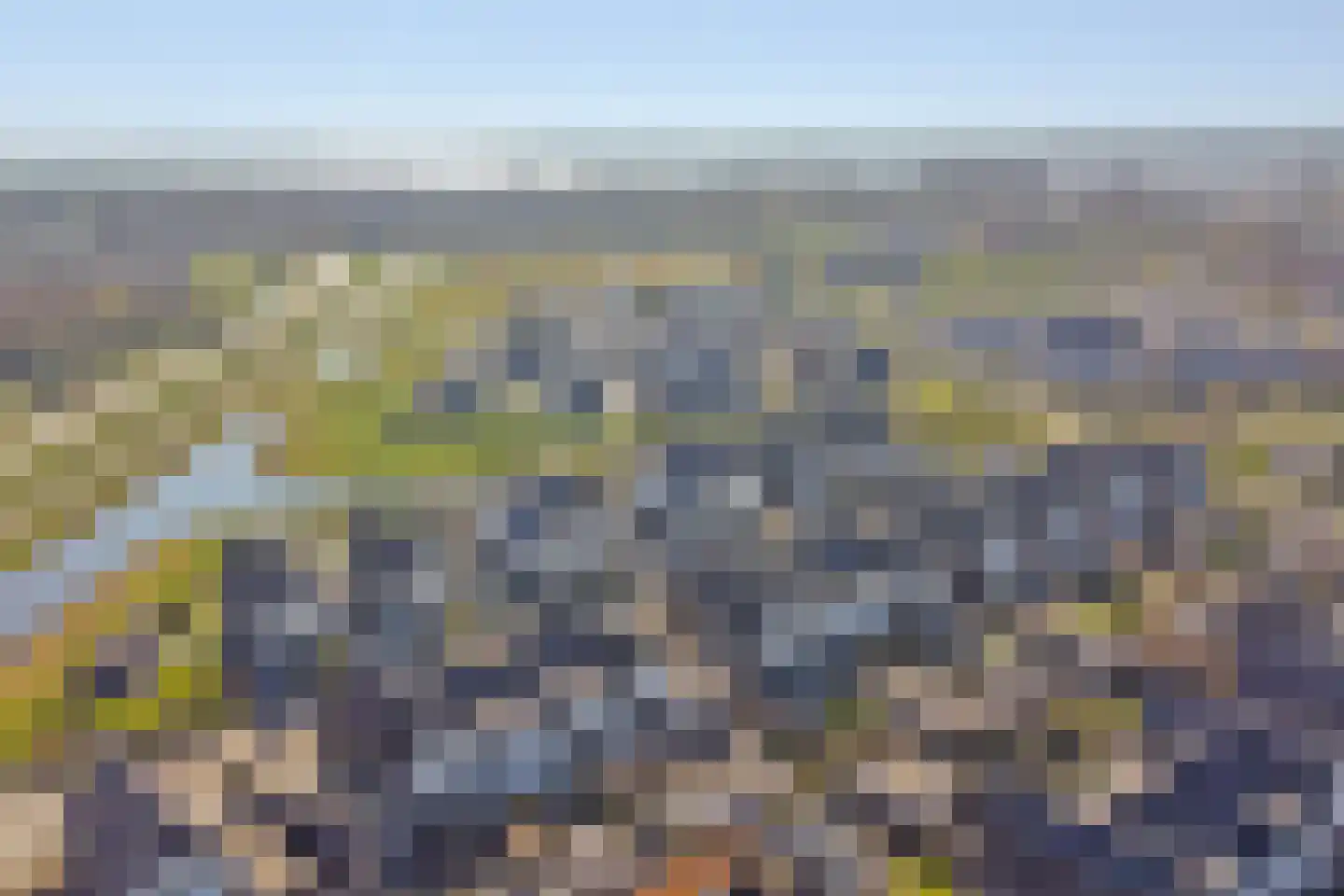 Reedulf 9 Kortgene thumbnail 28